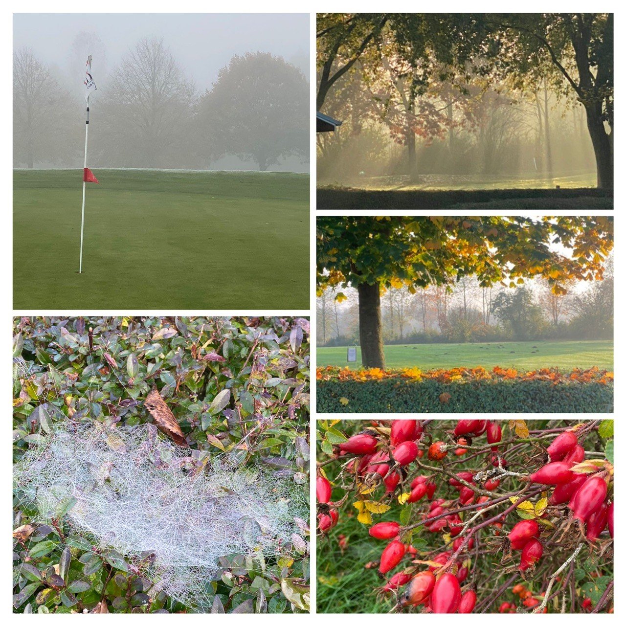 Impressionen_Herbst