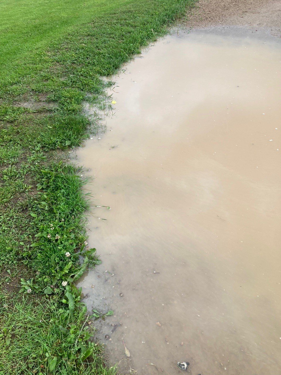 Wasser